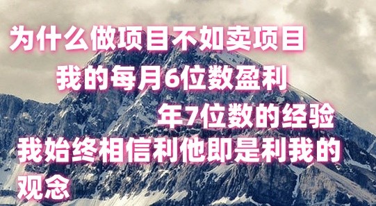 fy4168期-做项目不如卖项目，每月6位数盈利，年7位数经验