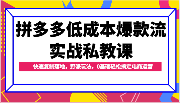 fy4261期-拼多多低成本爆款流实战私教课，快速复制落地，野派玩法，0基础轻松搞定电商运营