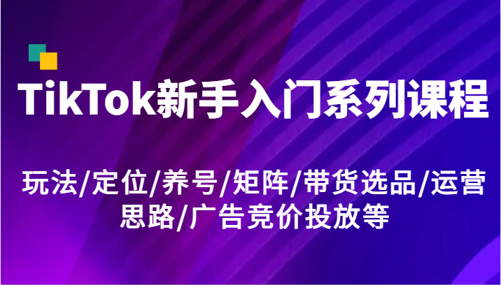 fy5137期-TikTok新手入门系列课程，玩法/定位/养号/矩阵/带货选品/运营思路/广告竞价投放等