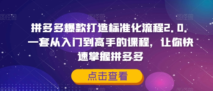 mp10061期-拼多多爆款打造标准化流程2.0，一套从入门到高手的课程，让你快速掌握拼多多