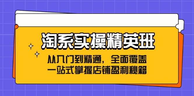 fy5838期-淘系实操精英班：从入门到精通，全面覆盖，一站式掌握店铺盈利秘籍