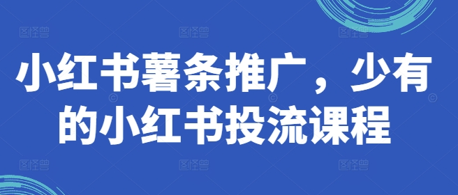 mp10173期-小红书薯条推广，少有的小红书投流课程