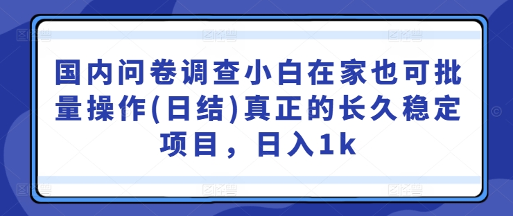 mp10826期-国内问卷调查小白在家也可批量操作(日结)真正的长久稳定项目，日入1k