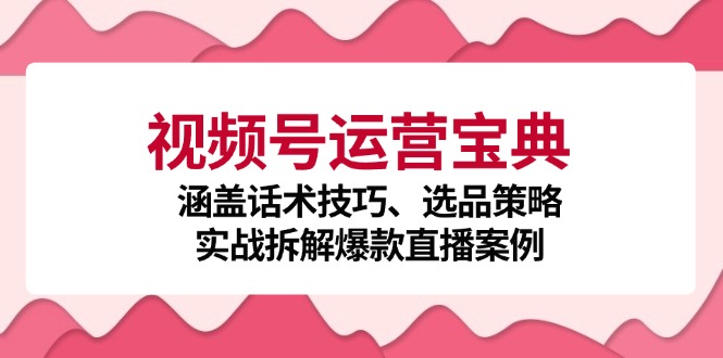 fy6968期-视频号运营宝典：涵盖话术技巧、选品策略、实战拆解爆款直播案例