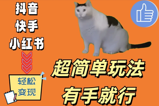 mp11521期-超简单玩法，有手就行，靠猫咪视频日入500+