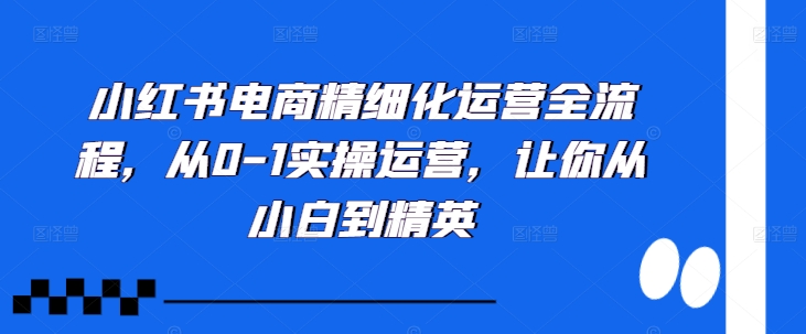 mp12133期-小红书电商精细化运营全流程，从0-1实操运营，让你从小白到精英