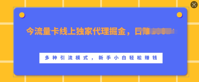 mp12344期-流量卡线上独家代理掘金，日入1k+ ，多种引流模式，新手小白轻松上手