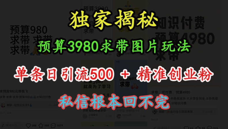mp13357期-预算3980求带 图片玩法，单条日引流500+精准创业粉，私信根本回不完