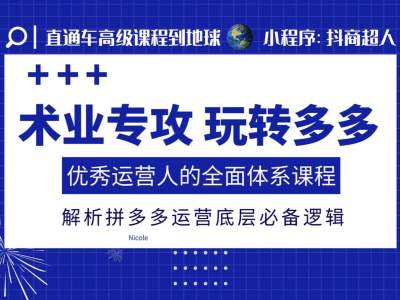 mp13810期-术业专攻玩转多多，优秀运营人的全面体系课程，解析拼多多运营底层必备逻辑