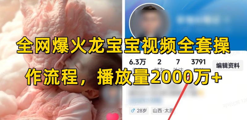 mp14110期-全网爆火龙宝宝视频全套操作流程，播放量2000万+