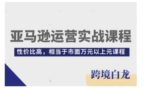 mp14181期-亚马逊运营实战课程，亚马逊从入门到精通，性价比高，相当于市面万元以上元课程