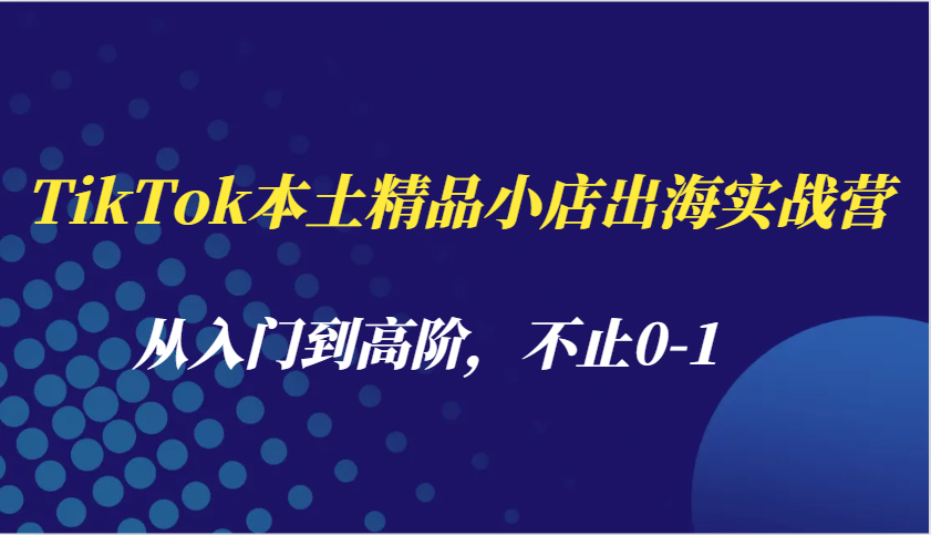 fy9657期-TikTok本土精品小店出海实战营，从入门到高阶，不止0-1