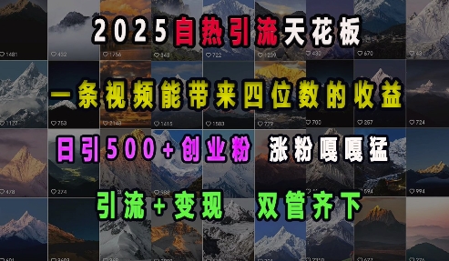 mp14357期-2025自热引流天花板，一条视频能带来四位数的收益，引流+变现双管齐下，日引500+创业粉，涨粉嘎嘎猛