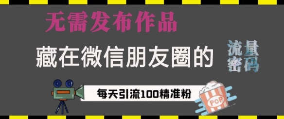 mp14359期-藏在微信朋友圈的流量密码，无需发布作品，单日引流100+精准创业粉