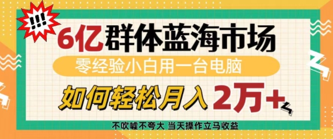 mp14425期-6亿群体蓝海市场，零经验小白用一台电脑，如何轻松月入过w