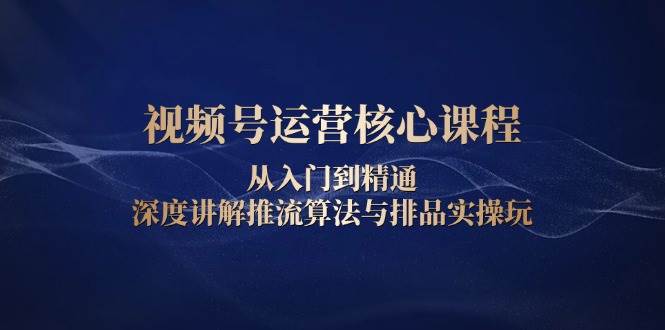 fy9759期-视频号运营核心课程，从入门到精通，深度讲解推流算法与排品实操玩