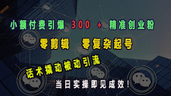 mp14664期-小额付费引爆 300 + 精准创业粉，零剪辑、零复杂起号，话术撬动被动引流，当日实操即见成效