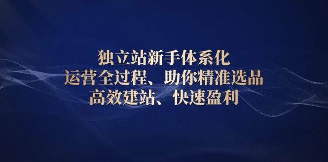 fy9912期-独立站新手体系化 运营全过程，助你精准选品、高效建站、快速盈利