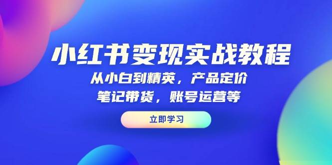 fy9966期-小红书变现实战教程：从小白到精英，产品定价，笔记带货，账号运营等