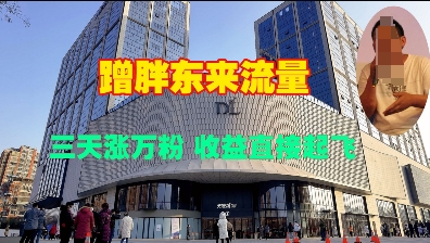 蹭胖东来流量三天涨万粉收益直接起飞-AIGC资源中心
