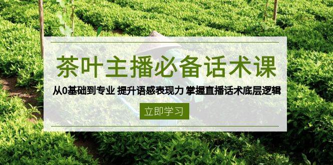 fy10208期-茶叶主播必备话术课 从0基础到专业 提升语感表现力 掌握直播话术底层逻辑