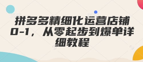 mp15153期-拼多多精细化运营店铺0-1，从零起步到爆单详细教程