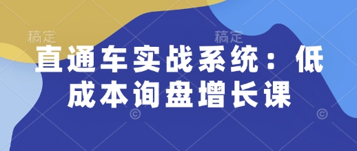 mp15340期-直通车实战系统：低成本询盘增长课，让个人通过技能实现升职加薪，让企业低成本获客，订单源源不断