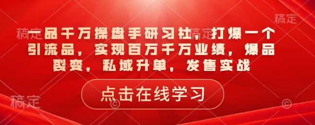 mp16144期-一品千万操盘手研习社，打爆一个引流品，实现百万千万业绩，爆品裂变，私域升单，发售实战