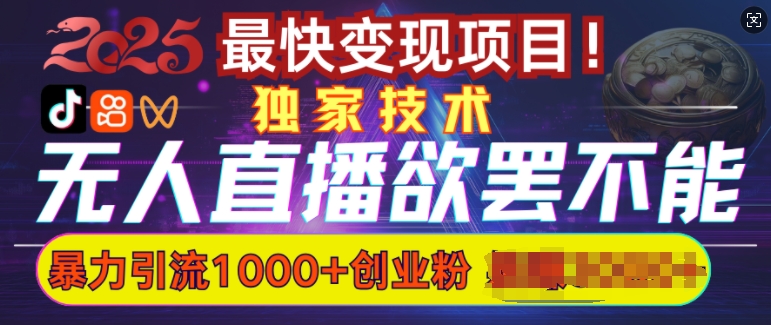 mp16230期-欲罢不能的无人直播引流，超暴力日引流1000+高质量精准创业粉