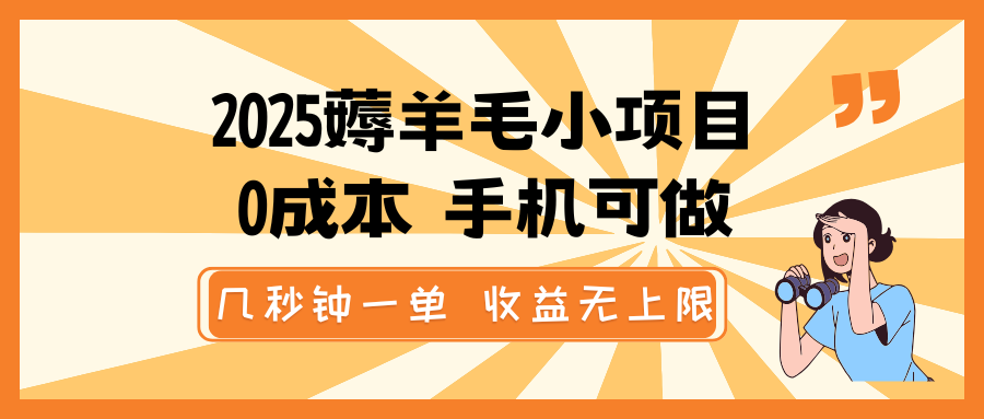 fy10977期-2025薅羊毛小项目，0成本 手机可做，几秒钟一单，收益无上限