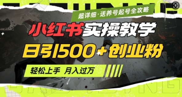 mp16381期-2月小红书最新日引500+创业粉实操教学【超详细】小白轻松上手，月入1W+，附小红书养号起号SOP