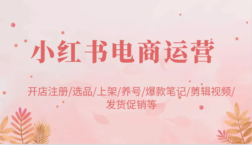 fy11068期-小红书电商运营：开店注册/选品/上架/养号/爆款笔记/剪辑视频/发货促销等