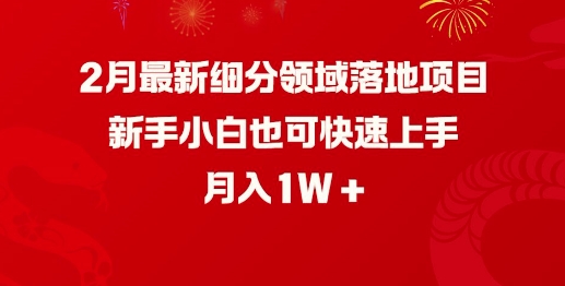 mp16974期-2月最新细分领域落地项目，新手小白也可快速上手，月入1W