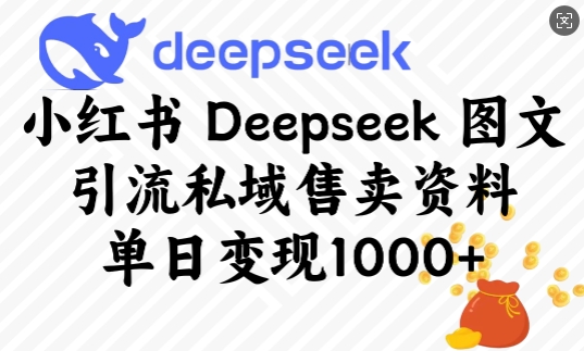 mp16988期-小红书Deepseek图文引流私域售卖资料，单日变现多张