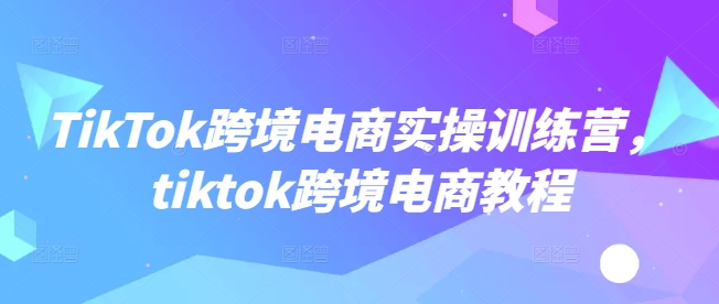 mp16991期-TikTok跨境电商实操训练营，tiktok跨境电商教程