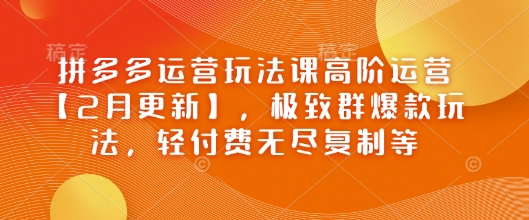 mp17093期-拼多多运营玩法课高阶运营【2月更新】，极致群爆款玩法，轻付费无尽复制等