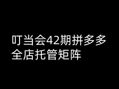 mp17095期-叮当会拼多多打爆班原创高阶技术第42期，拼多多全店托管矩阵