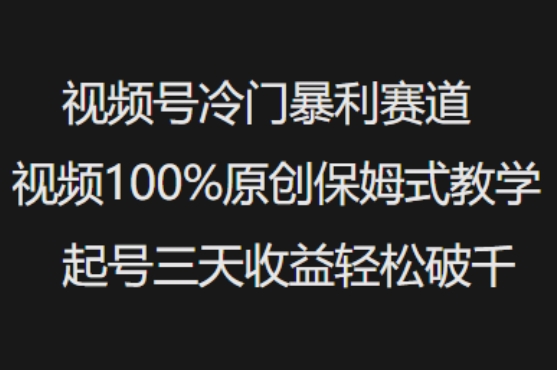 mp17424期-视频号冷门暴利赛道视频100%原创保姆式教学起号三天收益轻松破千