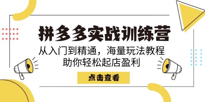 fy11634期-拼多多实战训练营，从入门到精通，海量玩法教程，助你轻松起店盈利