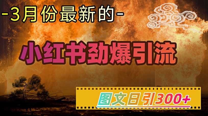 mp17488期-小红书超劲爆引流手段，图文日引300+轻松变现1W