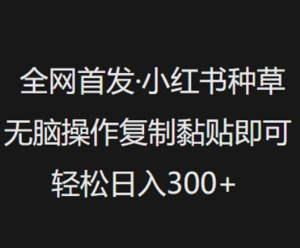 mp17492期-全网首发，小红书种草无脑操作，复制黏贴即可，轻松日入3张