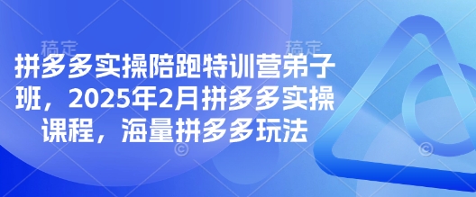 mp17562期-拼多多实操陪跑特训营弟子班，2025年2月拼多多实操课程，海量拼多多玩法