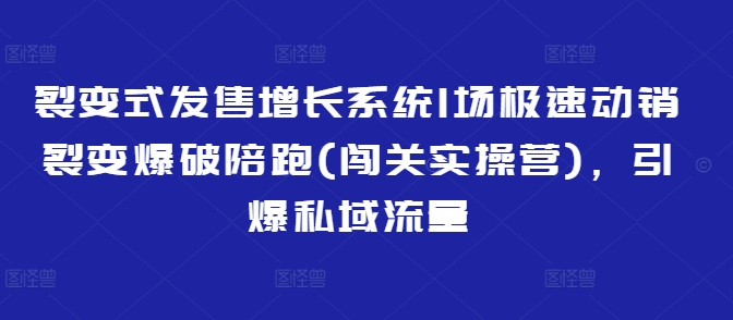 mp17704期-裂变式发售增长系统1场极速动销裂变爆破陪跑(闯关实操营)，引爆私域流量