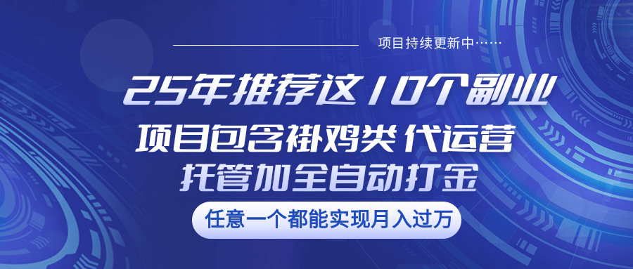 fy11853期-25年推荐这10个副业 项目包含褂鸡类、代运营托管类、全自动打金类
