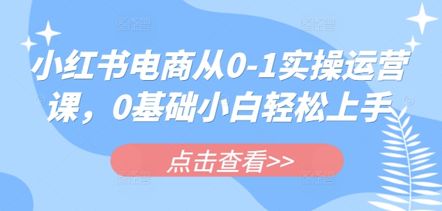 mp17905期-小红书电商从0-1实操运营课，0基础小白轻松上手