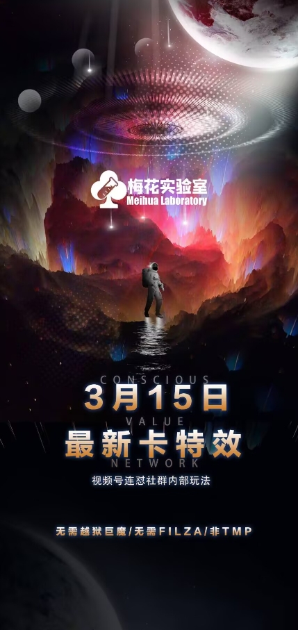 mp17979期-梅花实验室视频号连怼玩法-3月15日最新卡特效技术(无需越狱、巨魔、tmp)
