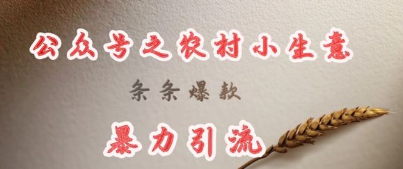 mp17980期-deepseek写农村小项目，条条爆款，暴力引流