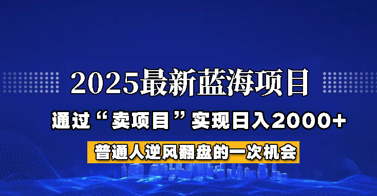 fy12017期-2025年蓝海项目，如何通过“网创项目”日入2000+