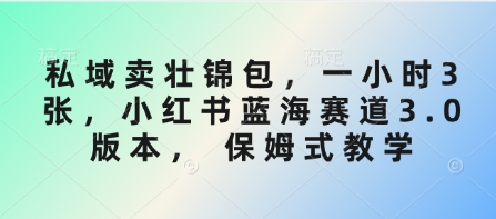 mp18295期-私域卖壮锦包，一小时3张，小红书蓝海赛道3.0版本， 保姆式教学