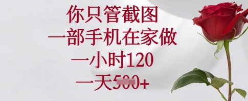 mp18315期-你只管截图，一部手机在家做，一小时120.一天5张